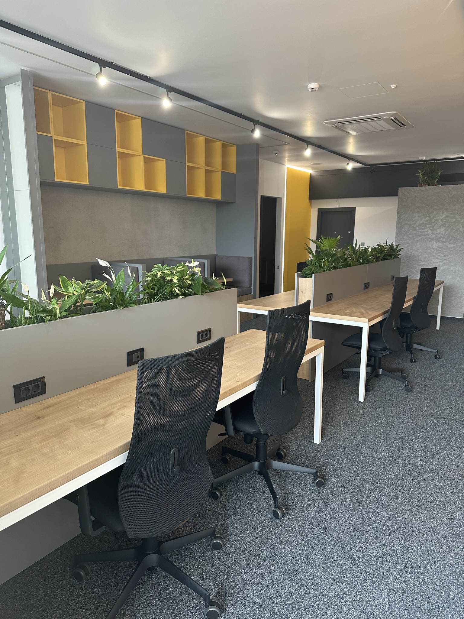 Descoperă spațiul de coworking potrivit în București, Sectorul 3: biroul tău dedicat pe strada Nerva Traian