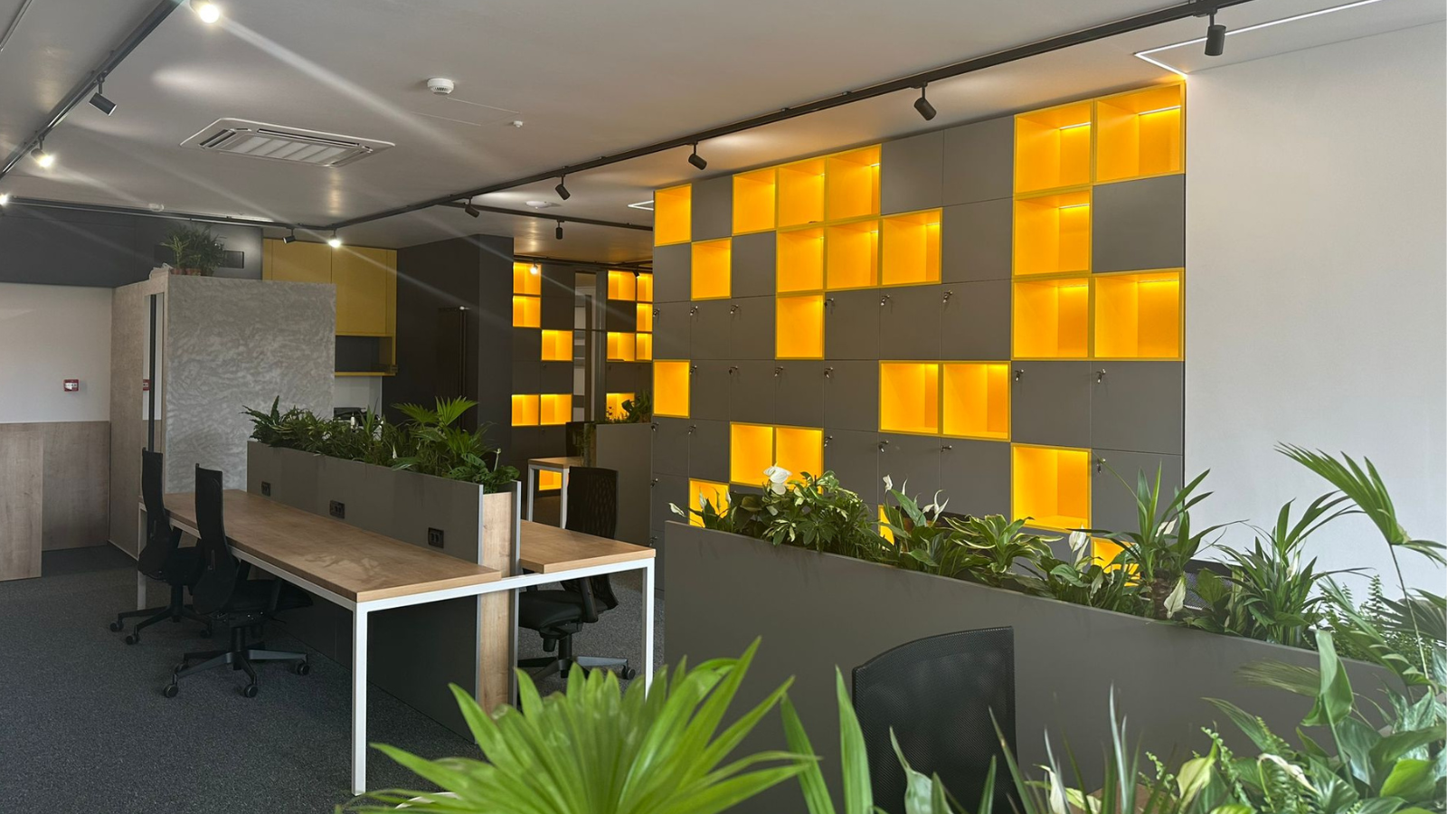 Descoperă un spațiu de coworking modern și flexibil în Sectorul 3, zona Timpuri Noi